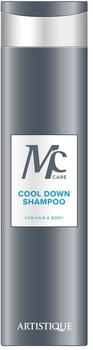 Artistique Men Care Cool Down Shampoo (250 ml)