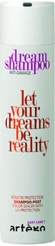 Artègo EC T-Dream Repair Post Shampoo (250ml)