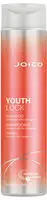 Joico 2694210, Joico YouthLock Shampoo 300 ml (Fl&uuml;ssiges Shampoo, 300 ml) (2694210),