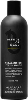 Alfaparf Milano Blends Of Many Rebalancing Low Shampoo (250 ml)
