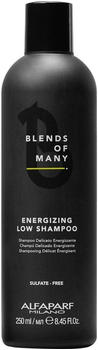 Alfaparf Milano Blends Of Maney Energizing Low Shampoo (250 ml)