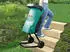 Bosch AXT Rapid 2200 (0600853600)