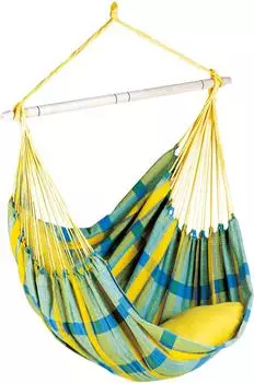 Amazonas Brasil lemon