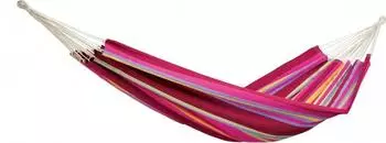 Amazonas Barbados grenadine