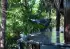 Cocoon Ultralight Mosquito Net Hammock olive green / black (HNS111-UL)