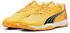 Puma Eliminate Turbo Indoor Schuhe orange
