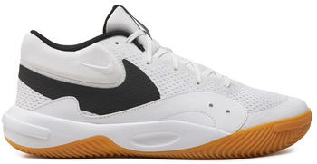 Nike Volleyball Handball Schuhe