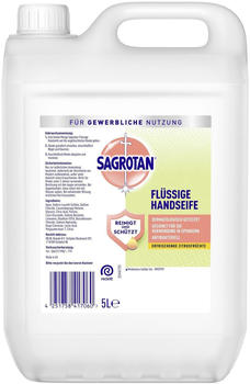 Sagrotan Flüssig Handseife (5 L)