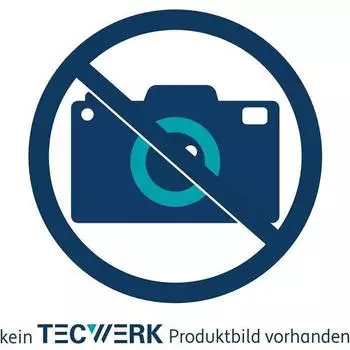Tecwerk Japans&auml;ge Ryoba Blattl&auml;nge 250mm, Gesamtl&auml;nge 600mm (2000814303)