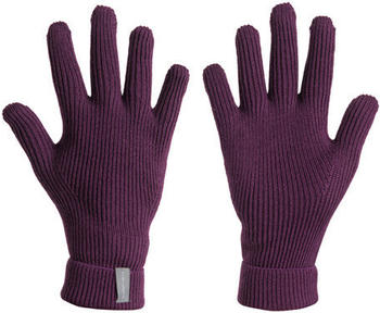 Icebreaker Rixdorf Gloves nightshade