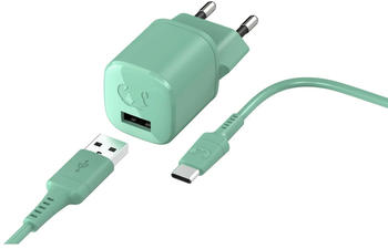 Fresh 'n Rebel USB-A 12W Mini Charger + USB Cable Misty Mint