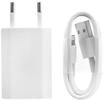 Apple Charger A14000 + Lightning Cable MD818