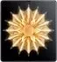 Honor Magic6 Lite
