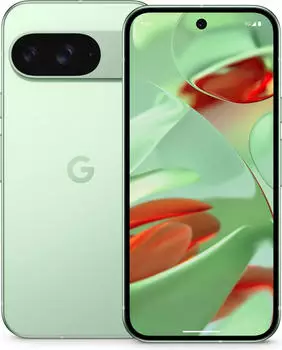 Google Pixel 9 256GB Wintergreen