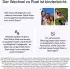 Google Pixel 11 512GB Hibiscus
