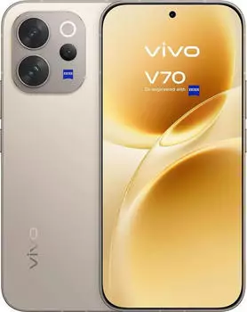 Vivo V70 (6500mAh) 256GB alpine gray