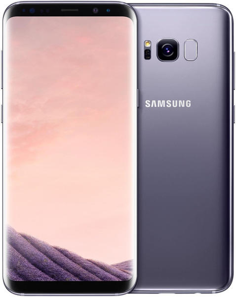 Samsung Galaxy S8+ grau