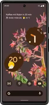 Google Pixel 6 128GB Stormy Black – Display und Design