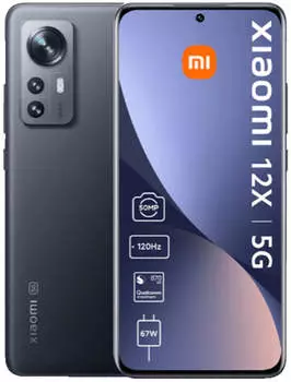 Xiaomi 12X 256GB Grau