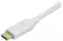 StarTech USB-C to Mini DisplayPort Adapter - 4K 60Hz - White - USB C to Mini DP Adapter