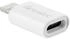 Fontastic USB‑C auf Lightning Adapter (264054)