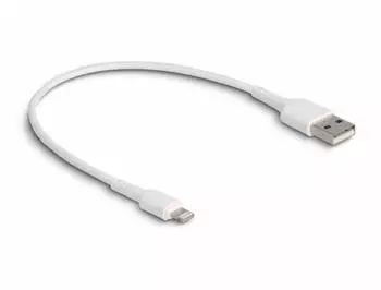 DeLock USB-Ladekabel USB 2.0 Lightning zu USB-A weiß 30 cm (87866)