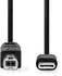 Nedis CCGL60650BK10 USB-Kabel USB-C auf USB-B 2.0, 480Mbps, 1m, schwarz (CCGL60650BK10)