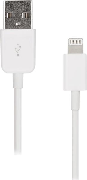 Artwizz Lightning auf USB Datenkabel weiß (1 m)