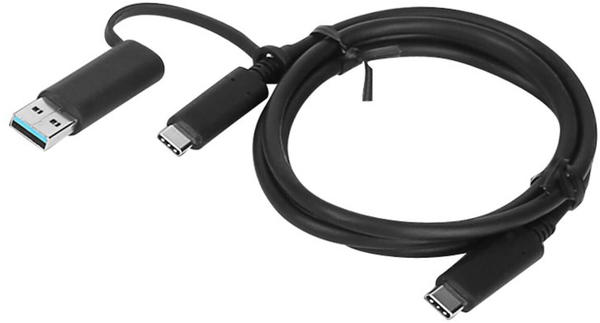 Lenovo Hybrid Kabel USB-C mit USB-A