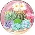 PopSockets PopGrip Bulbasaur Terrarium (112661)