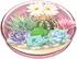PopSockets PopGrip Bulbasaur Terrarium (112661)