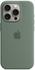 Apple Silikon Case mit MagSafe (iPhone 15 Pro) Zypresse