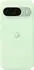 Google Backcover (Google Pixel 9/Pixel 9 Pro)