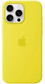 Apple Silikon Case mit MagSafe (iPhone 16 Pro Max) Sternfrucht
