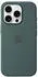 Apple Silikon Case mit MagSafe (iPhone 16 Pro)