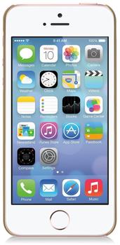 Macally SNAP, Schutzh&uuml;lle f&uuml;r iPhone SE, 5/5s, Champagner