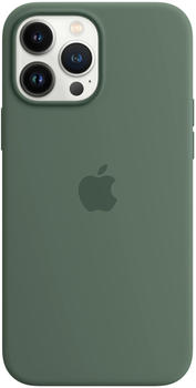 Apple Silikon Case mit MagSafe (iPhone 13 Pro Max) Eukalyptus