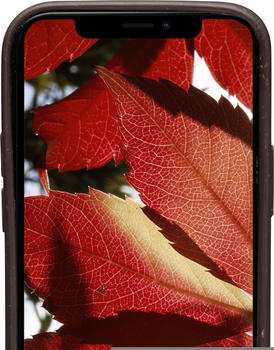 19twenty8 Barcelona (iPhone 12 Mini) Smartphone Hülle Braun