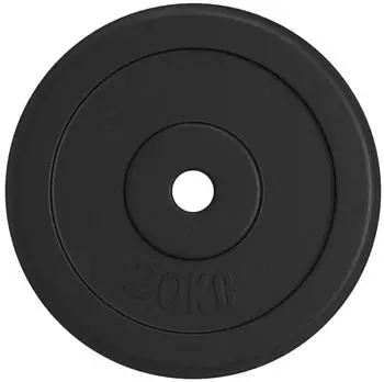 vidaXL Hantelscheibe 20kg Gusseisen