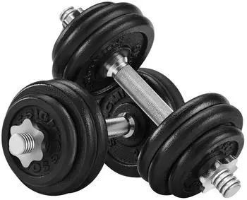 Songmics Gusseisen Kurzhantel-Set 30 kg