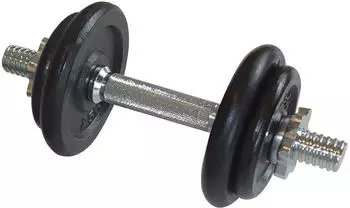 Schildkröt Fitness Kurzhantelset 10 kg im Karton