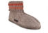 Haflinger Paul