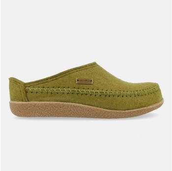 Haflinger Blizzard Credo schilf