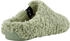 VERBENAS York Curly grün