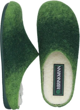 Dr. Brinkmann Slippers made of wool felt hellgrün