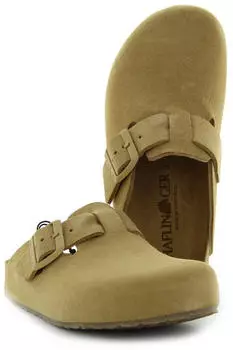 Haflinger Porto sahara