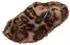 VERBENAS York Curly braun