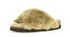 Gabor Pantoffeln (73016) beige