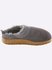 Haflinger Snowbird grey