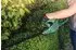 Bosch EasyHedgeCut 18-45 (ohne Akku und Ladegerät)